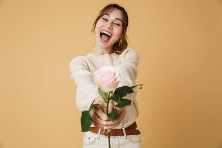 Attractive young woman wearing sweater standing isolated over beige background, holding pink rose flowerの写真素材
