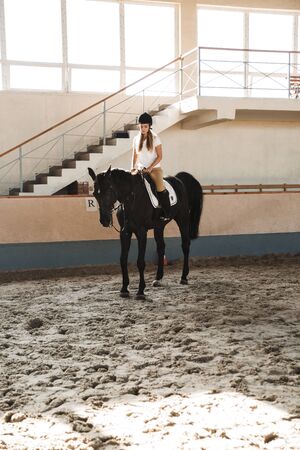 Image of serious blonde beautiful woman wearing hat with horse in countryside in corral on training...