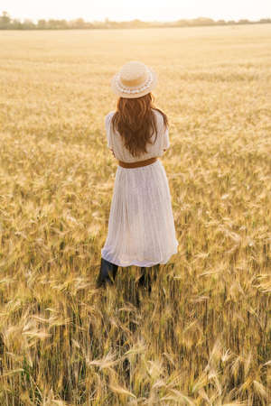 Photo from back of cute brunette woman in straw hat walking on wheat field at summer dayの写真素材