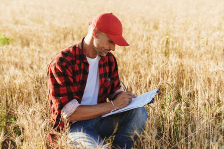 Image of focused unshaven adult man in cap working with papers at cereal field