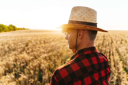 Image of masculine adult man in straw hat looking aside while standing at cereal fieldの写真素材