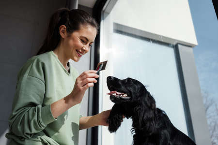 Smiling young brunette woman petting her dog at home, brushing her dogs fur