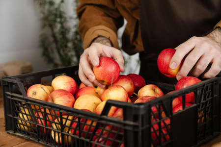 White seller man in apron holding apples while working at local eco shop