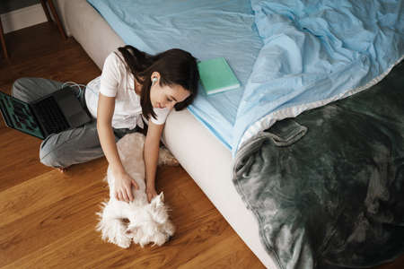 Happy young brunette woman stydying in bedroom, sitting on the floor with her dog and laptop computerの写真素材