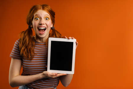Ginger excited woman with tails showing tablet pc isolated over orange backgroundの写真素材