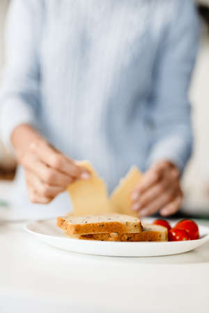 Close up of a sandwich on a plate with tomatoes and woman holding cheese on a backgroundの写真素材