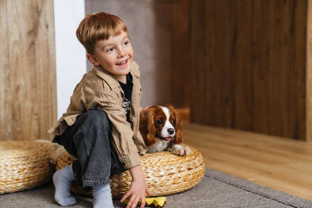 Happy little kid playing with his dog at home on a floorの写真素材