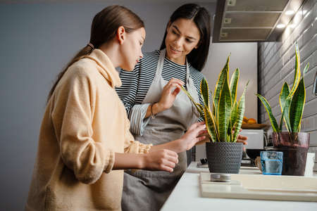 Happy beautiful mother and daughter smiling and watering their plants in cozy kitchenの写真素材