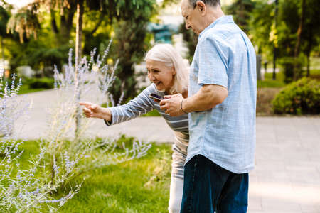 White senior couple using mobile phone while walking in summer parkの写真素材