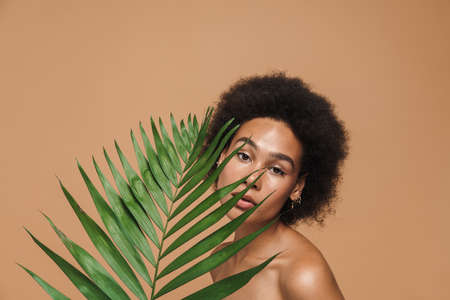 Black shirtless woman looking at camera while posing with green leaf isolated over beige backgroundの写真素材