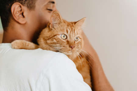 Black man wearing t-shirt smiling while petting his cat in hotelの写真素材