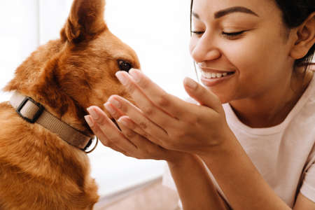 Young hispanic woman laughing while petting her dog at home