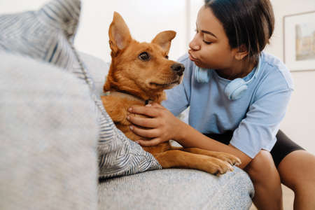 Young hispanic woman petting her dog while resting on couch at homeの写真素材