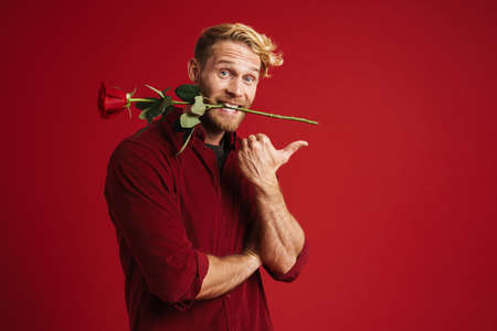 White man pointing finger aside while holding rose in his mouth isolated over red wall