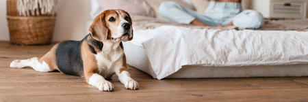 Young african woman in casual wear with beagle puppy at home, relaxing on bed in headphonesの写真素材