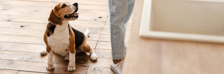 Young african woman and her pet dog beagle at the kitchen, croppedの写真素材