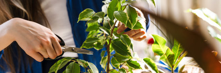 Young woman florist taking care of pot plants indoors, trimming leaves, close up