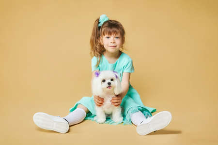 little girl lies on the floor with a Maltese lap dog. photo shoot in the studio on a yellow background.の写真素材