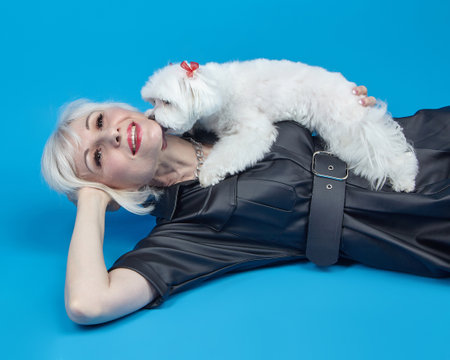portrait of an adult blonde with a small Maltese lapdog on a blue background.の写真素材