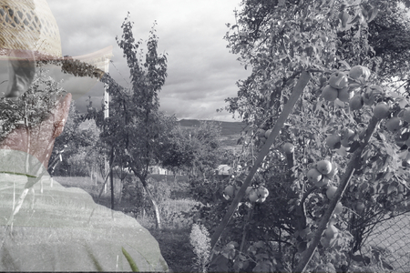 Crisis of subsistence farming. Small fruit production. Difficulties for agricultural producers. Double exsposureの写真素材