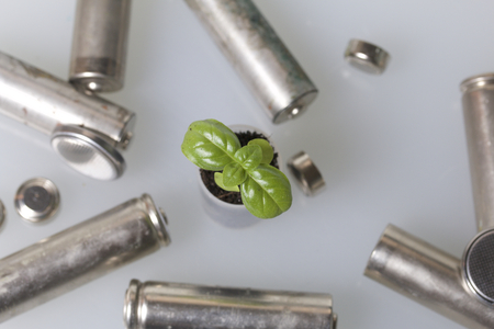 Batteries and green sprout. Recycling and disposal of batteries. Care for ecology.