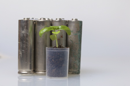 Batteries and green sprout. Recycling and disposal of batteries. Care for ecology.の写真素材