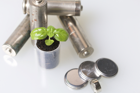 Batteries and green sprout. Recycling and disposal of batteries. Care for ecology.の写真素材