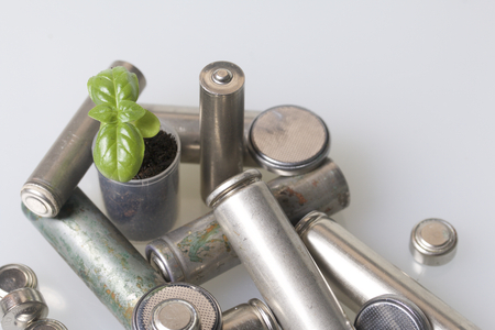 Batteries and green sprout. Recycling and disposal of batteries. Care for ecology.の写真素材