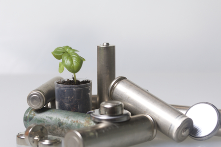 Batteries and green sprout. Recycling and disposal of batteries. Care for ecology.の写真素材