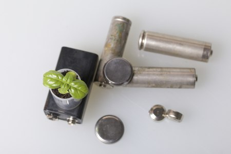 Batteries and green sprout. Recycling and disposal of batteries. Care for ecology.の写真素材