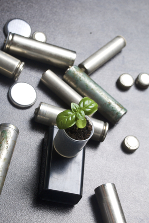 Batteries and green sprout. Recycling and disposal of batteries. Care for ecology.