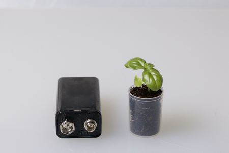 Batteries and green sprout. Recycling and disposal of batteries. Care for ecology.の写真素材