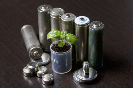 Batteries and green sprout. Recycling and disposal of batteries. Care for ecology.の写真素材