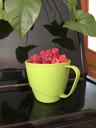 Brightly red, fresh, juicy raspberries are collected in a mug of light green color. It stands on the glossy lid of a black piano.の写真素材
