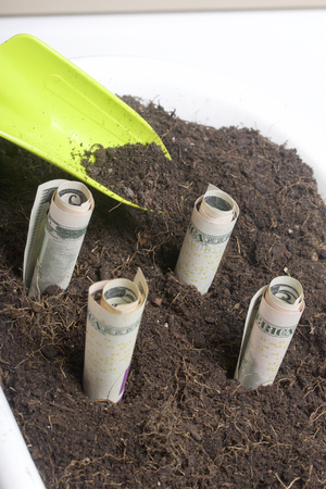 Money grows from the ground in a flower pot. Paper bills, folded in a tube, stick out of the ground. There is a tool for cultivating the soil.の写真素材