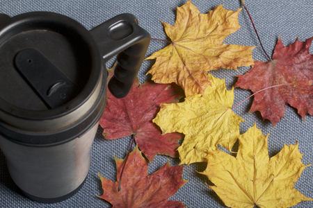 A thermo mug, standing on a gray cloth. It is strewn with fallen autumn leaves of different colors.の写真素材