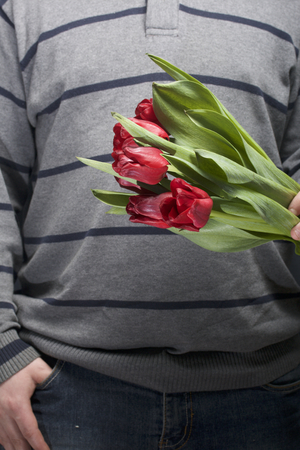 Gifts for loved ones. The men is holding a bouquet of red tulips in her hand. On a gray background close-up.の写真素材