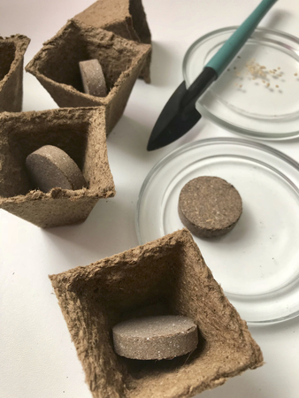 Accessories for growing seedlings at home. Peat pots with the earth in the form of tablets inside. Nearby is a saucer with seeds and a scapula for cultivating the land.の写真素材