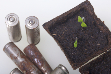 Young green shoots of sprouts in peat containers. They are surrounded by worn out batteries, coated with corrosion. Environmental pollution and recycling.の写真素材
