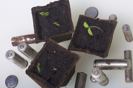 Young green shoots of sprouts in peat containers. They are surrounded by worn out batteries, coated with corrosion. Environmental pollution and recycling.の写真素材