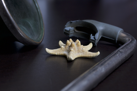 Going on vacation on the beach. A swimming circle without air. Mask for swimming under water and a tube on a dark background. Nearby is the starfish.の写真素材