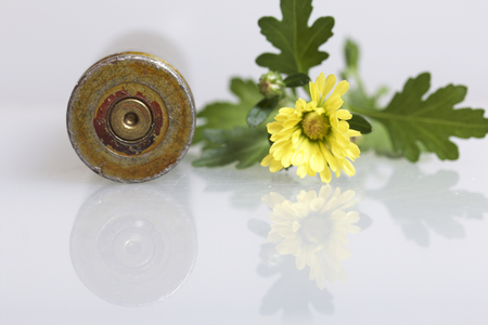 Shooting sleeve from a large-caliber machine gun and a yellow chrysanthemum flower. Establishment of peace.の写真素材