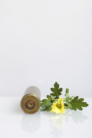 Shooting sleeve from a large-caliber machine gun and a yellow chrysanthemum flower. Establishment of peace.の写真素材