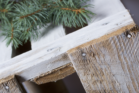 Blue spruce branches on a wooden box of boards, painted in white.の写真素材