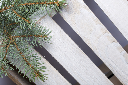 Blue spruce branches on a wooden box of boards, painted in white.の写真素材