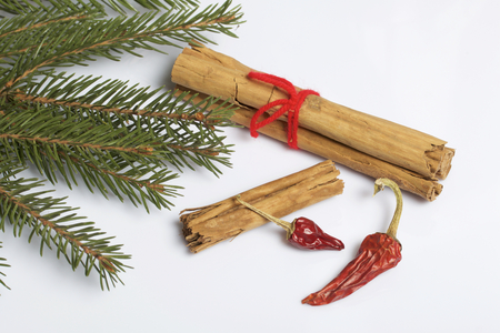 Cinnamon sticks and pods of red pepper next to the fir branches. On a white background.の写真素材