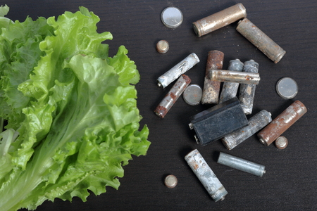 Spent batteries and green lettuce growing in a pot. Recycling waste batteries. Environmental Protection. Earth Day.の写真素材