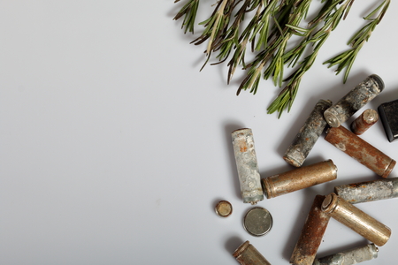 Used batteries and a branch of greens. Recycling waste batteries. Environmental Protection. Earth...