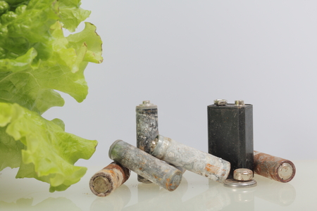 Spent batteries and green lettuce growing in a pot. Recycling waste batteries. Environmental Protection. Earth Day.の写真素材