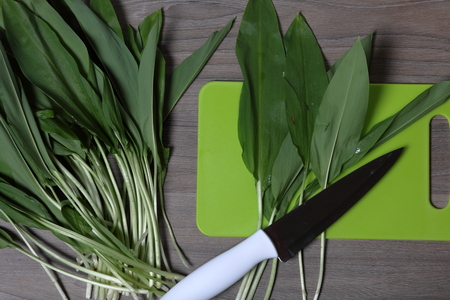 Fresh greens neatly laid out on the tabletop. Fragrant wild garlic. Next to the kitchen knife and...
